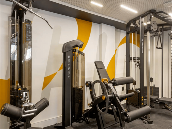 design sem nome - 2024-08-12t100424.372.png