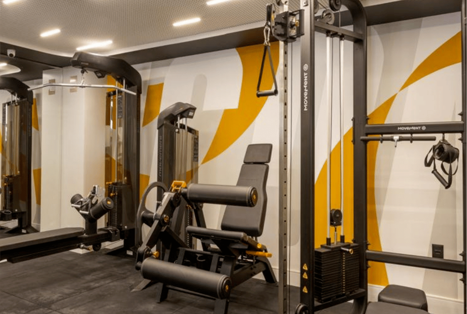 design sem nome - 2024-08-12t100356.756.png