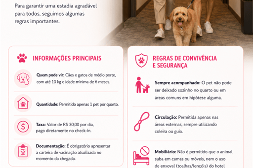 chatgpt image 19 de jun. de 2026, 17_05_24_low.png