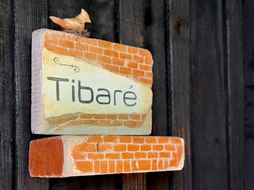 tibaré 31.jpeg
