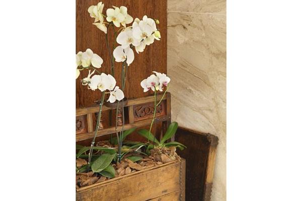 Photo 27 of Miramar By Windsor Copacabana
