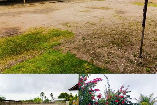 whatsapp image 2024-08-20 at 13.49.28.jpeg