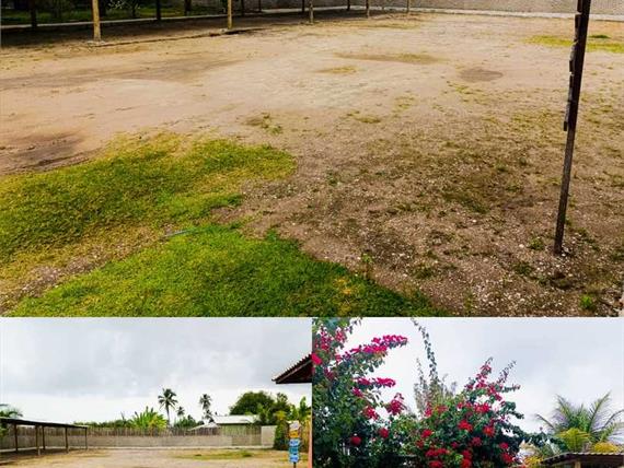 whatsapp image 2024-08-20 at 13.49.28.jpeg