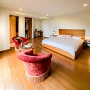 Premium Suite