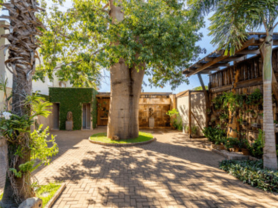 áreas externas redimensionadas (4).png