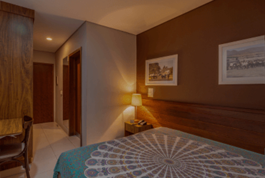 standard redimensionado (2).png