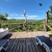 NINHO DAS ARARAS 🦜