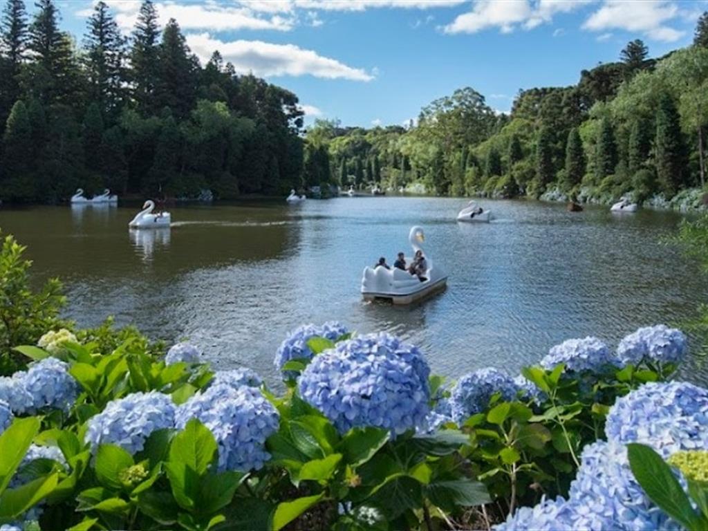Pacote Dia do Trabalhador