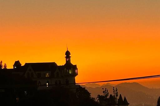 whatsapp image 2025-07-28 at 15.40.38 (2).jpeg