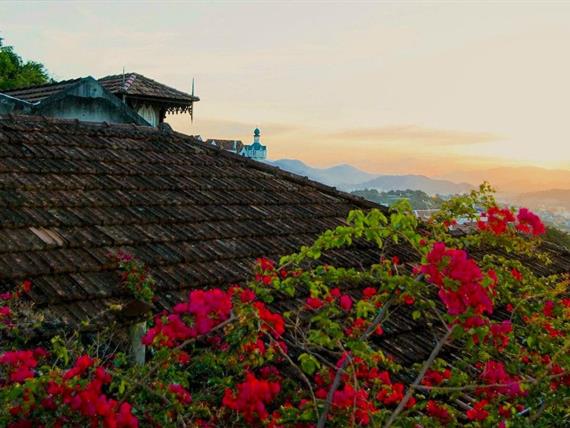 whatsapp image 2025-07-28 at 15.40.38 (6).jpeg