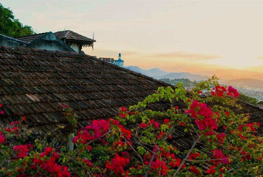 whatsapp image 2025-07-28 at 15.40.38 (6).jpeg