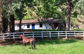 Casa do Bentão do Fazenda Catucaba