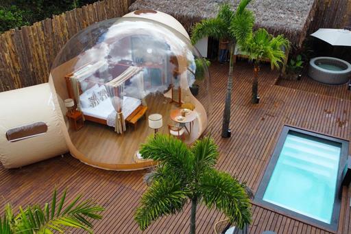 alnilam - redimensionadas1.jpg