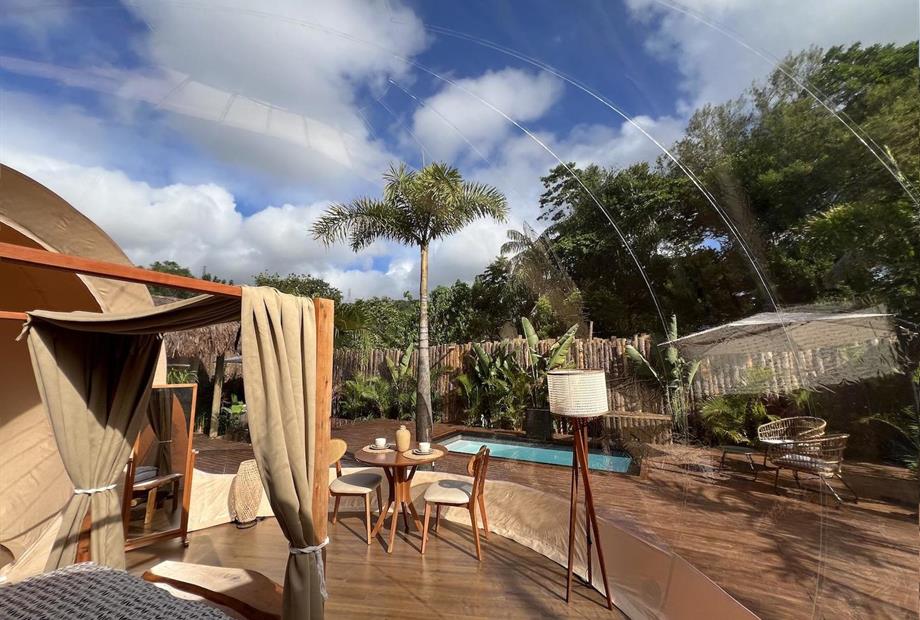 alnilam - redimensionadas11.jpg