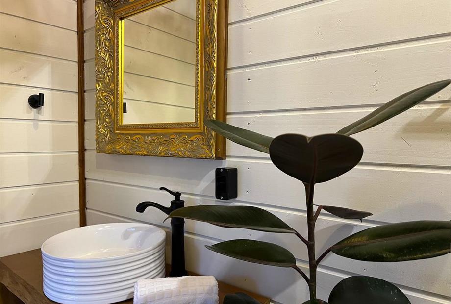 alnilam - redimensionadas15.jpg