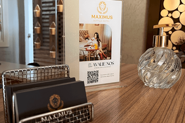 Foto 7 do Maximus Sottile Hotel