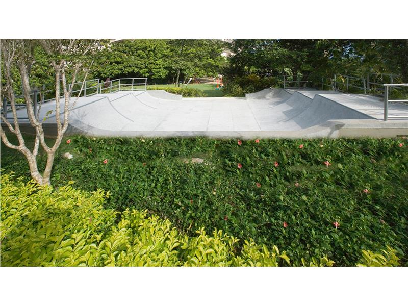 Pista de Skate
