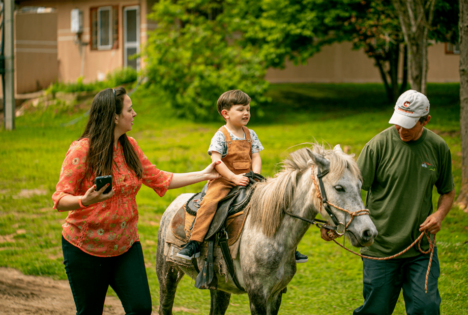 motor - principal (3).png