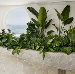 dhani b_9663-editar copiar.jpg