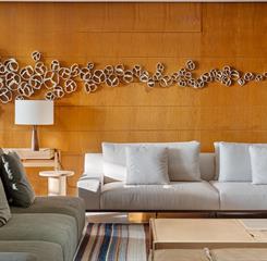 dhani b_9409-editar.jpg