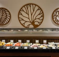 dhani b_3274-editar.jpg