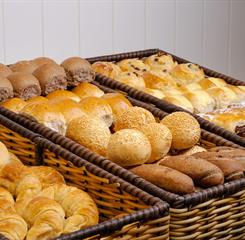 dhani b_2921omnibees.jpg