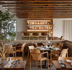 dhani b_3251-editar omnibees.jpg