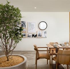 dhani b_3272-editar.jpg