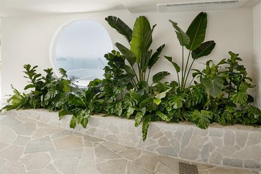 dhani b_9663-editar copiar.jpg