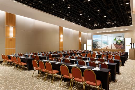 dhani b_6511-editar.jpg