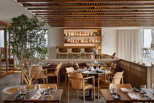 dhani b_3251-editar omnibees.jpg