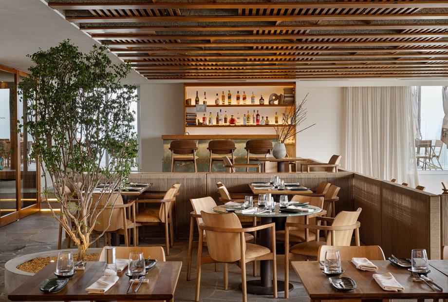 dhani b_3251-editar omnibees.jpg