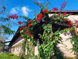 Hotel Fazenda Triunfo