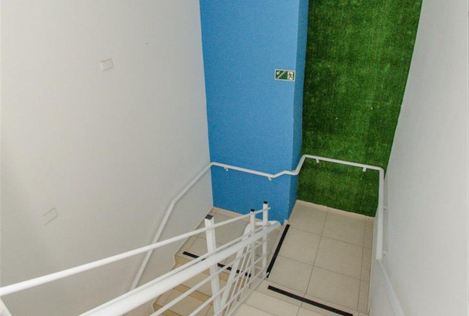 dsc_8990 (fileminimizer).jpg