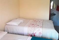 Duplo Standard Terreo Apt. 04