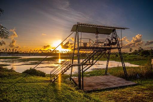 cópia de victormuzzi-2802 (2).jpg