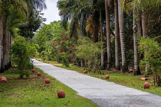 cópia de victormuzzi-0208.jpg