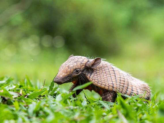 cópia de victormuzzi-0251.jpg