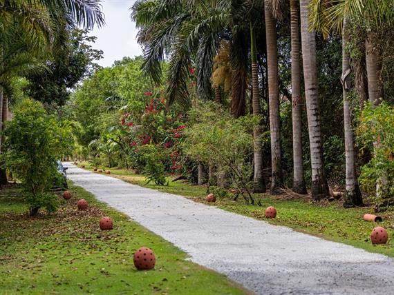 cópia de victormuzzi-0208.jpg