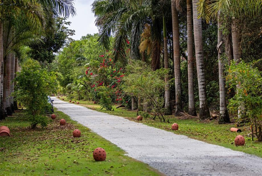 cópia de victormuzzi-0208.jpg