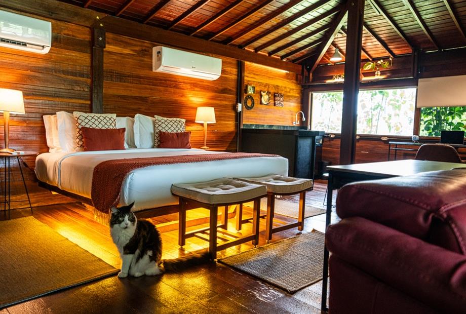 victormuzzi-02809 (1).jpg