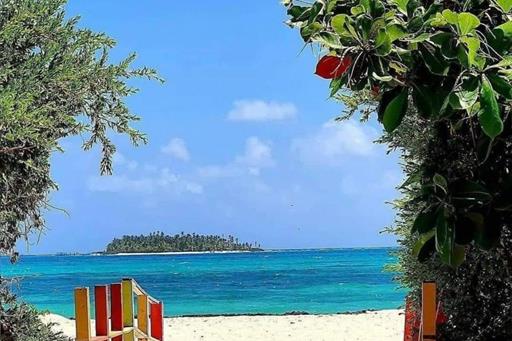 photo-2024-07-18-14-23-57 (4).jpg