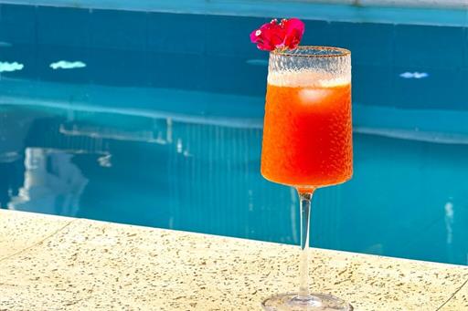 img_2756 (médio).jpeg