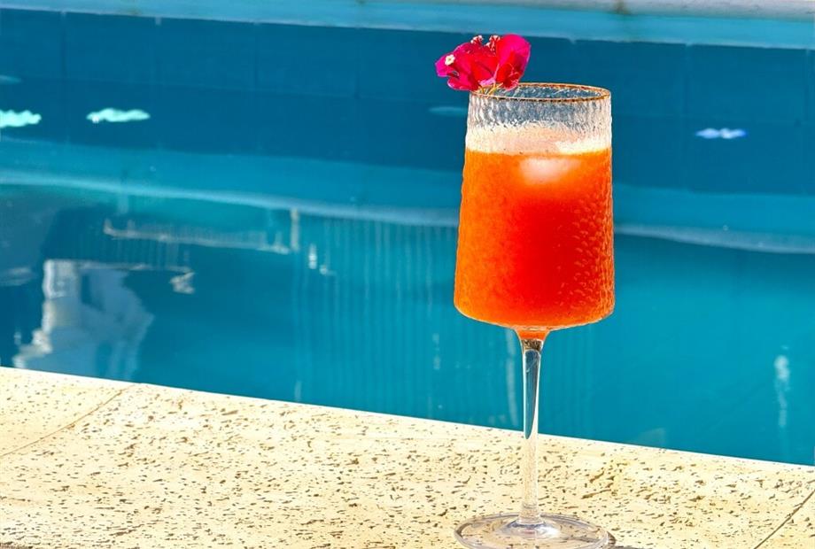 img_2756 (médio).jpeg