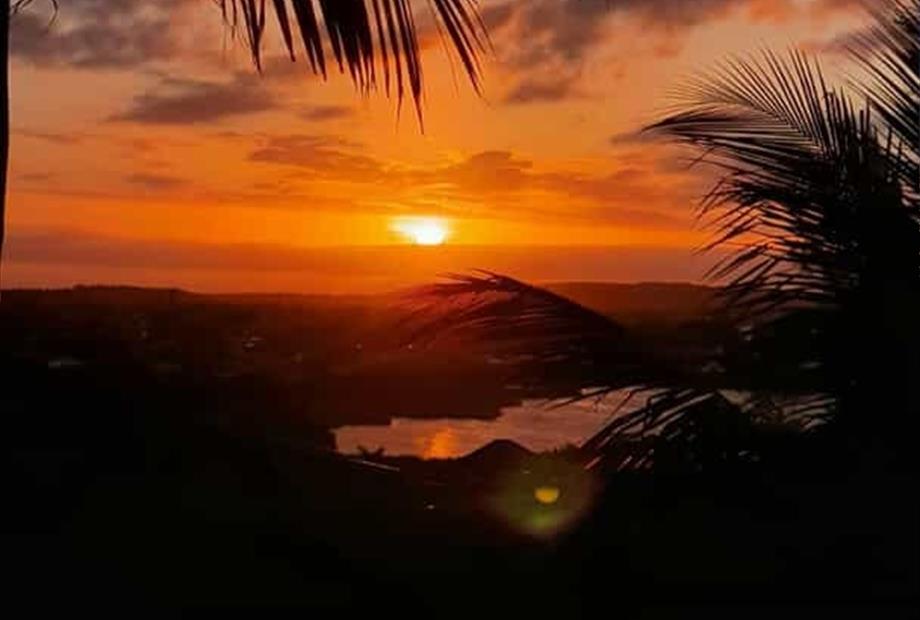 whatsapp image 2025-11-01 at 07.41.20.jpeg