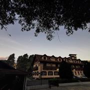 STANDARD-TRIPLO FAMILIA