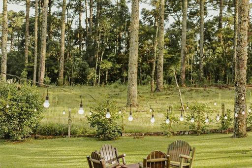 whatsapp image 2024-11-06 at 11.20.47 (3).jpeg