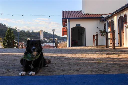 whatsapp image 2023-07-25 at 12.23.10 (1).jpeg