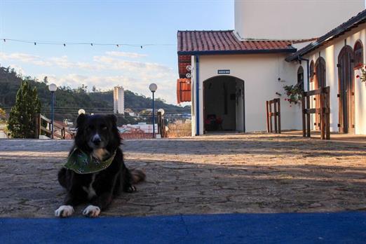 whatsapp image 2023-07-25 at 12.23.10 (1).jpeg