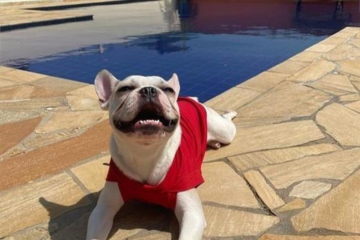 screenshot_20231102_173254_instagram (1).jpg